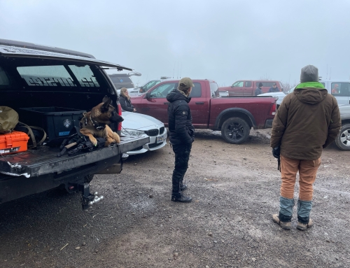 Anthony Mancuso Nov 15, 2021